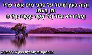 14 ציטוטים יפהפיים בעברית שנבחרו על ידי גולשי האקדמיה ללשון עברית