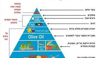 תזונה ים תיכונית בריאה לתאי המוח