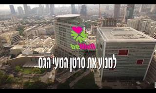 סרטן המעי הגס: מומחית מאיכילוב מסבירה את כל מה שאתם צריכים לדעת על המחלה