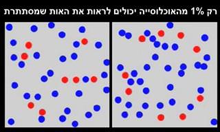 רק 1% מהאוכלוסייה מצליח לעבור את החידון הזה בהצלחה